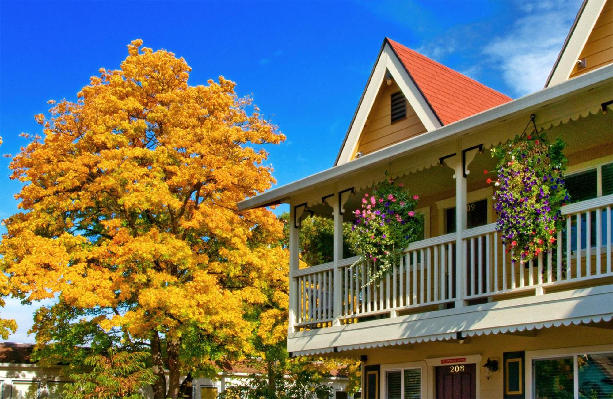 Silverton Inn & Suites Esterno foto